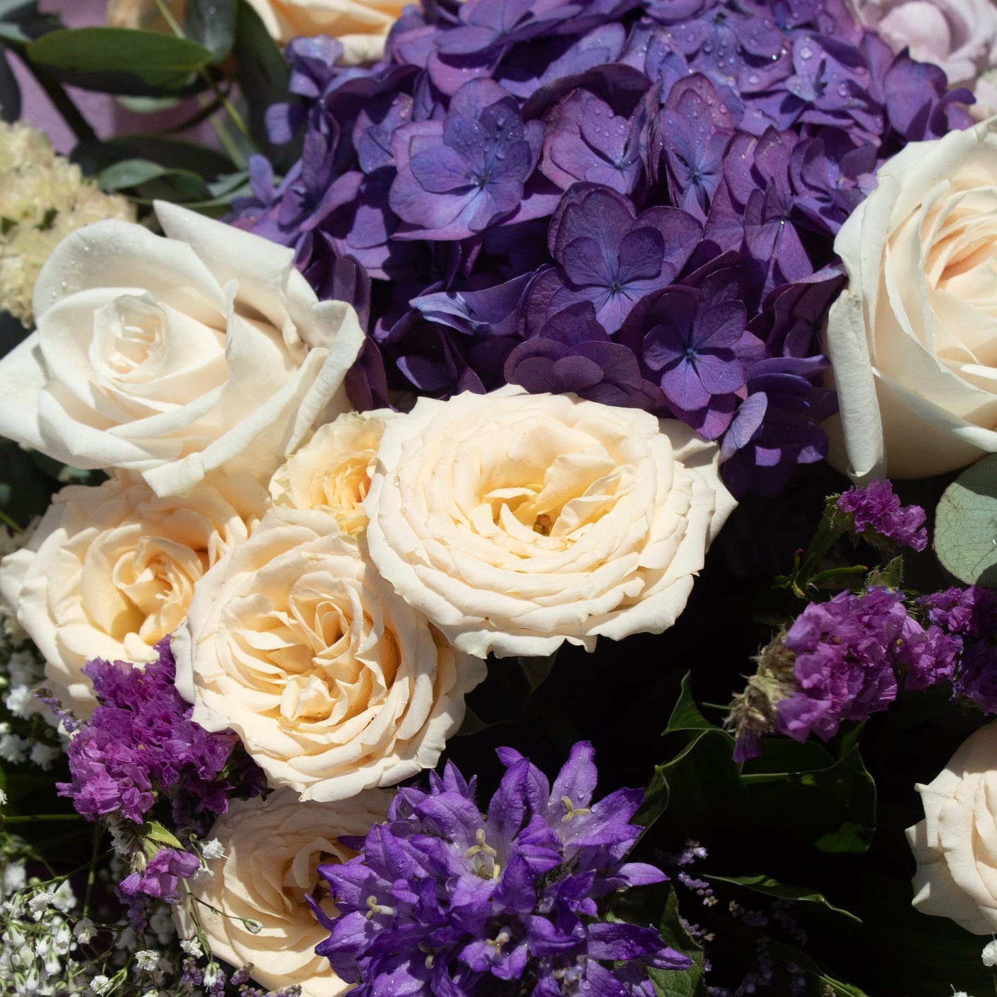 Elegant mixed bouquet with rich purple hydrangea, soft cream roses, accent statice and greenery, presented in pastel lavender packaging.