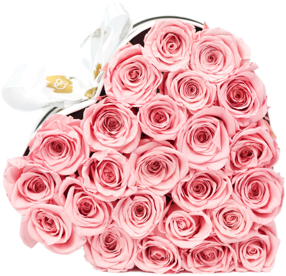 Butter Forever Roses