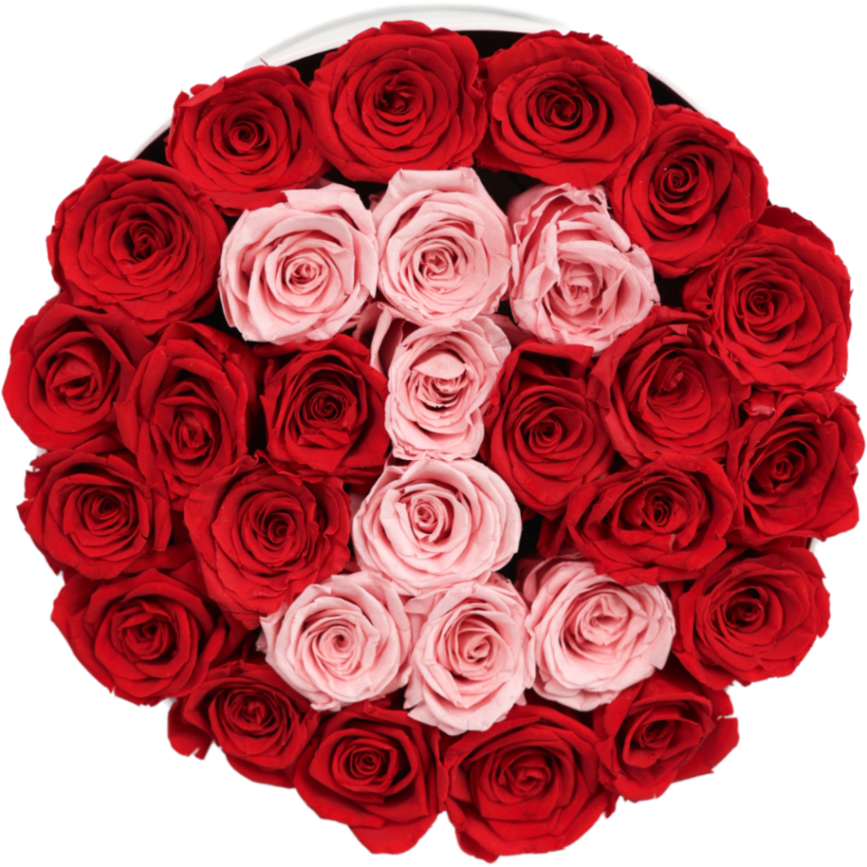 Forever Custom Letter