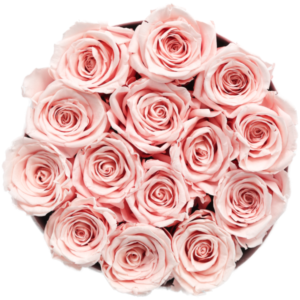 Forever Grande White