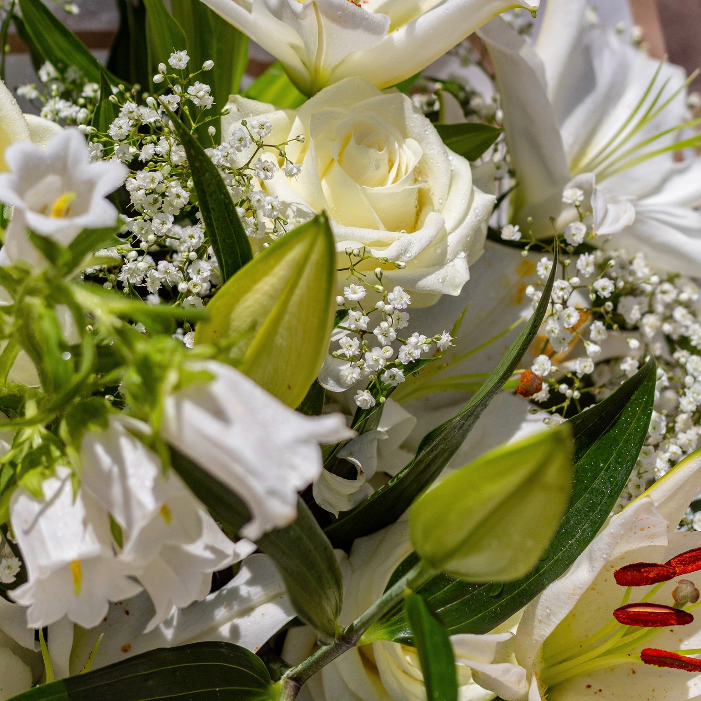 Detail view of Butter Bliss bouquet highlighting pristine white petals, soft textures, and subtle greenery inside the signature matte white Butter bag.