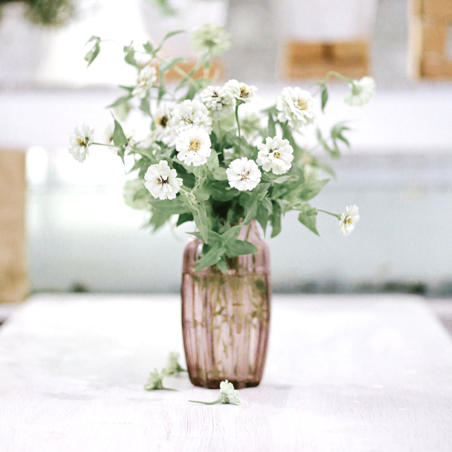 Specific Flowers