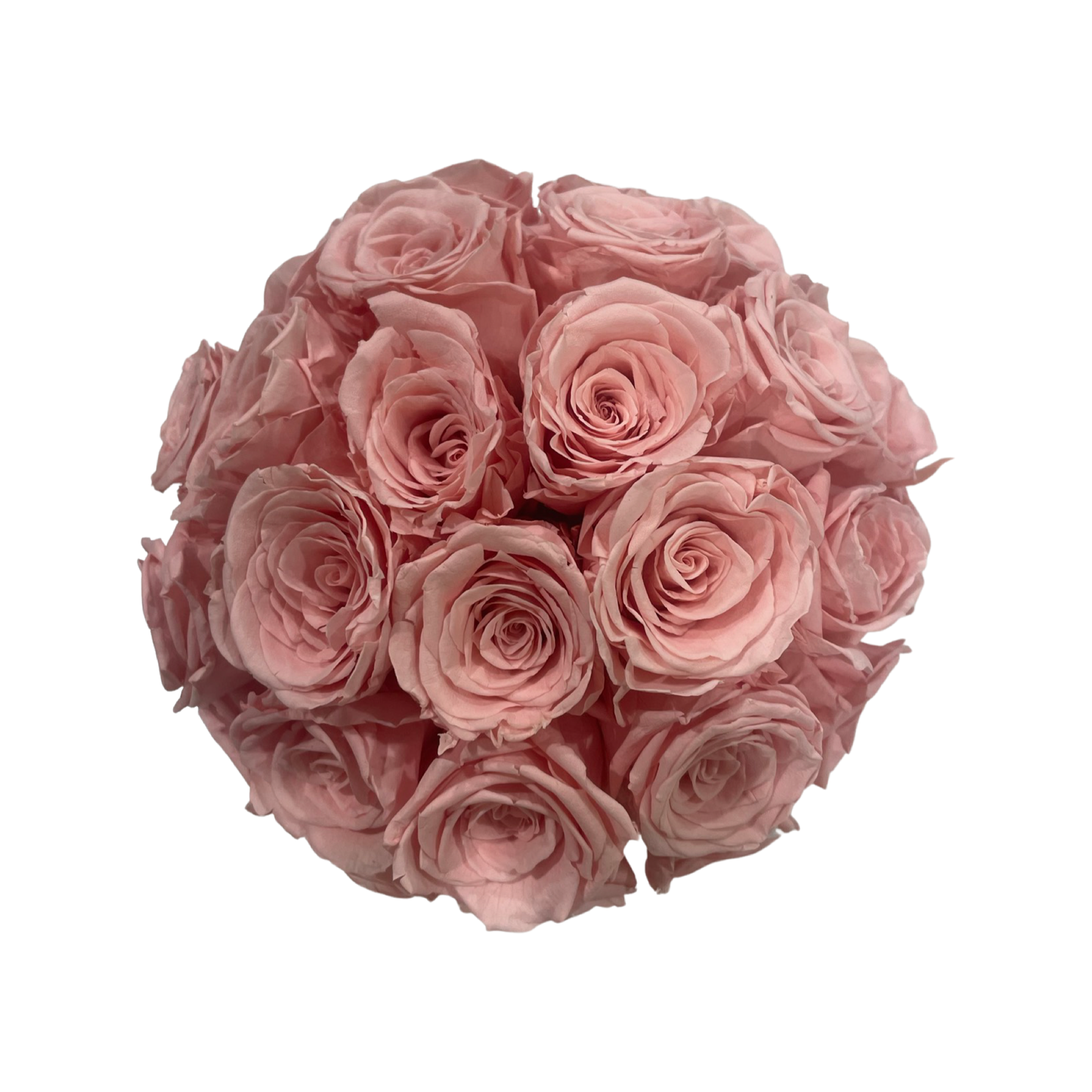 Forever Versailles Blush