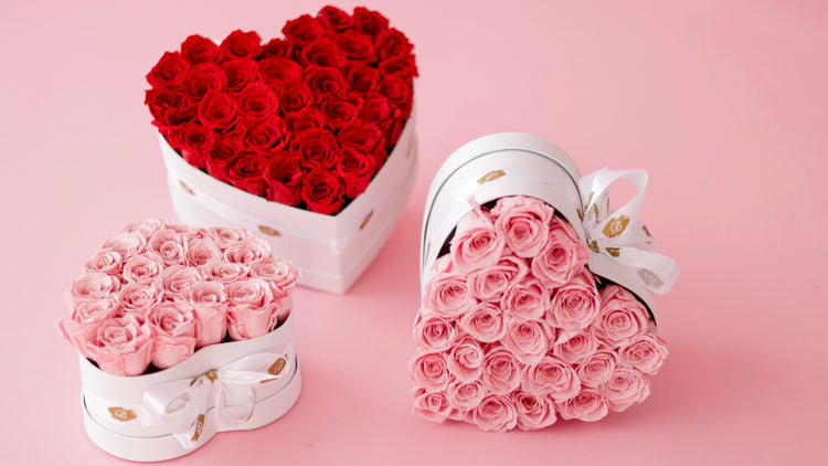 AMORE HEARTS