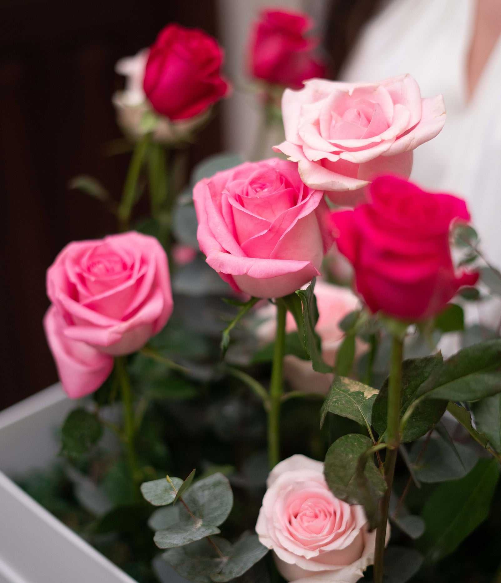 Garden of Roses – Butter