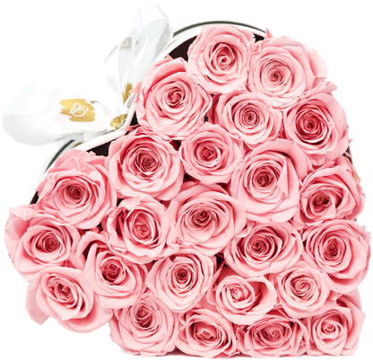 Butter Forever Roses  