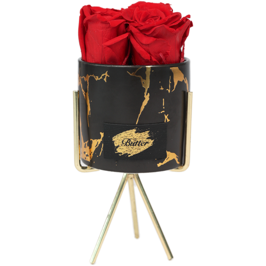 Forever Vienna Black