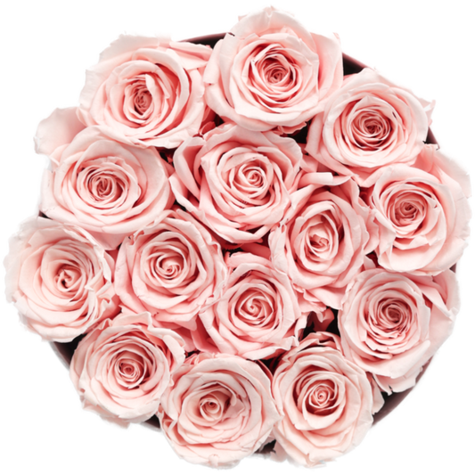 Forever Grande White