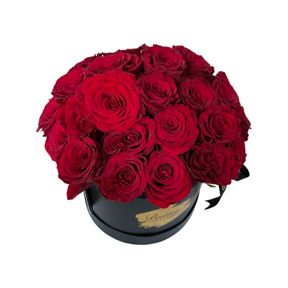 Butter Beautifully Blossomed Roses
